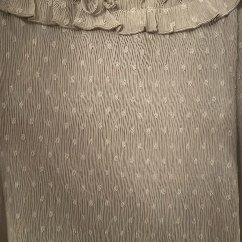 SWEET WANDERER Sage Green Ruffle Neckline Polka Dotted Sheer Blouse Size Large - Picture 4 of 8